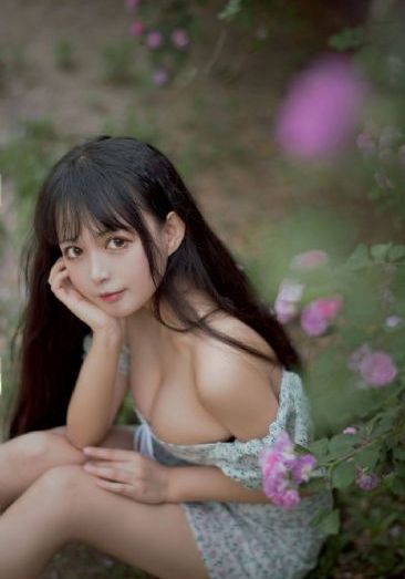 41影视_BD国语手机在线看