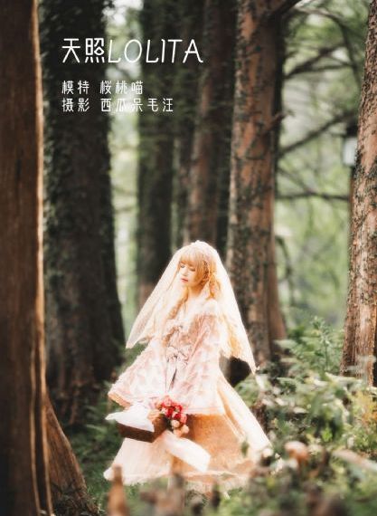 任达华舒淇免费无删减观看_1080手机在线观看